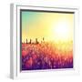 Field, Beautiful Nature Sunset Landscape-Subbotina Anna-Framed Art Print