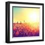 Field, Beautiful Nature Sunset Landscape-Subbotina Anna-Framed Art Print