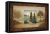 Field Blossom Illusion-Michael Marcon-Framed Stretched Canvas