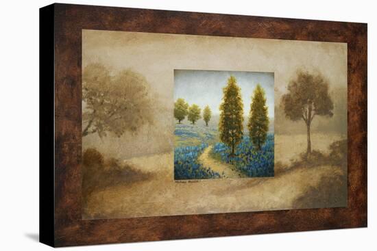 Field Blossom Illusion-Michael Marcon-Stretched Canvas