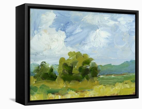 Field Color Study I-Ethan Harper-Framed Stretched Canvas