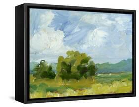 Field Color Study I-Ethan Harper-Framed Stretched Canvas