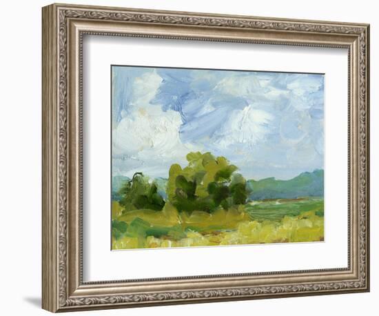 Field Color Study I-Ethan Harper-Framed Art Print