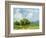 Field Color Study I-Ethan Harper-Framed Art Print