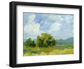 Field Color Study I-Ethan Harper-Framed Art Print