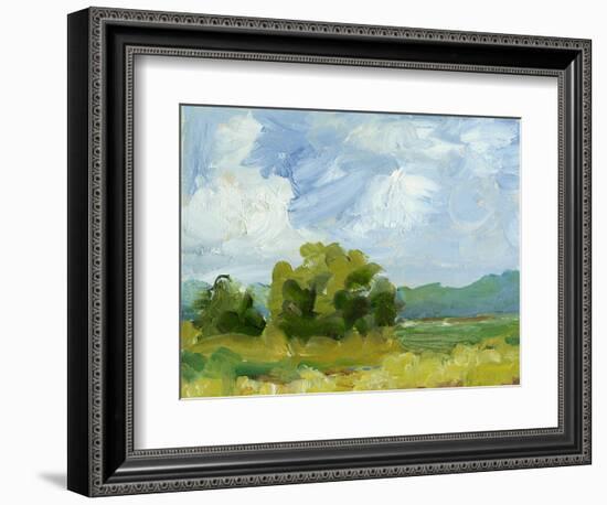 Field Color Study I-Ethan Harper-Framed Art Print