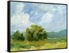 Field Color Study I-Ethan Harper-Framed Stretched Canvas