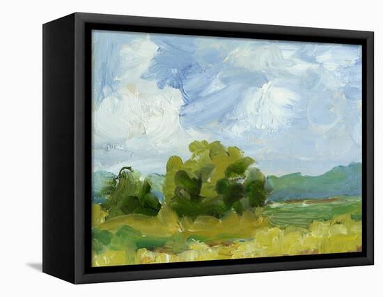 Field Color Study I-Ethan Harper-Framed Stretched Canvas