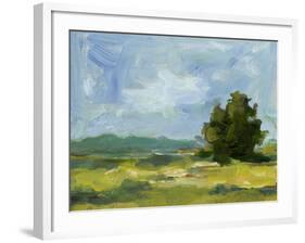 Field Color Study II-Ethan Harper-Framed Art Print