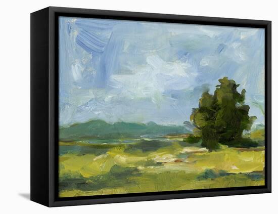 Field Color Study II-Ethan Harper-Framed Stretched Canvas