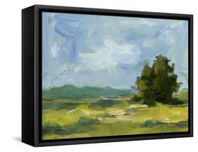 Field Color Study II-Ethan Harper-Framed Stretched Canvas