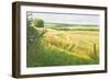 Field Corner in the Deverells, 2011-Peter Breeden-Framed Giclee Print