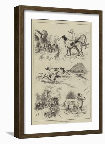 Field Dog Trials at Shrewsbury-null-Framed Giclee Print