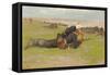 Field Drill for the Prussian Infantry-Frederic Remington-Framed Stretched Canvas