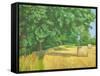 Field Edge Near Iford, 2010-Peter Breeden-Framed Stretched Canvas