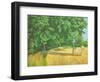 Field Edge Near Iford, 2010-Peter Breeden-Framed Giclee Print