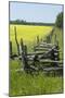 Field Fences, Manitoulin Island, Ontario, Canada-Natalie Tepper-Mounted Photo