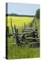 Field Fences, Manitoulin Island, Ontario, Canada-Natalie Tepper-Stretched Canvas