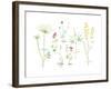 Field Flower Composite-null-Framed Giclee Print