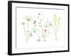 Field Flower Composite-null-Framed Giclee Print