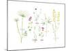 Field Flower Composite-null-Mounted Giclee Print