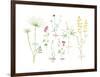 Field Flower Composite-null-Framed Giclee Print