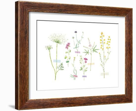 Field Flower Composite-null-Framed Giclee Print