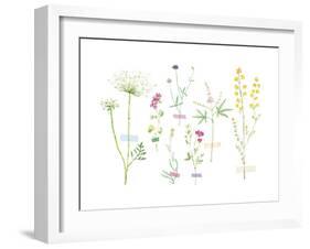 Field Flower Composite-null-Framed Giclee Print