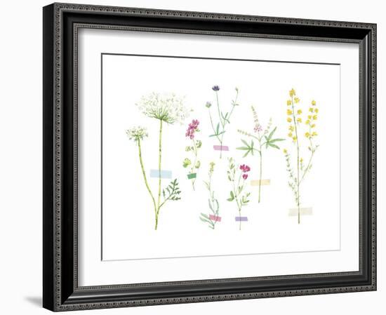 Field Flower Composite-null-Framed Giclee Print