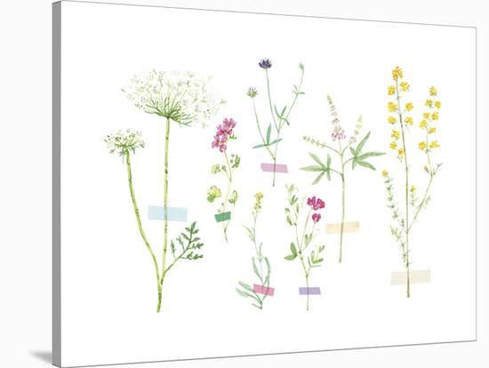 Field Flower Composite-null-Stretched Canvas