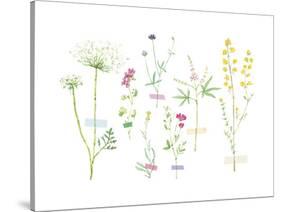 Field Flower Composite-null-Stretched Canvas