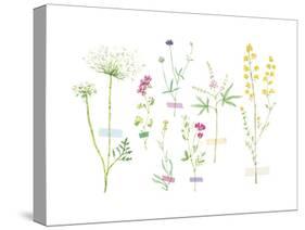 Field Flower Composite-null-Stretched Canvas