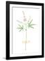 Field Flower VI-null-Framed Giclee Print