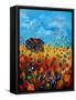 Field Flowers And Old Barn - Poppies-Pol Ledent-Framed Stretched Canvas