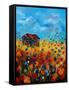 field flowers and old barn-Pol Ledent-Framed Stretched Canvas