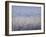 Field Flurry-Ann Oram-Framed Giclee Print