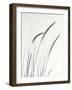 Field Grasses III-Debra Van Swearingen-Framed Photographic Print