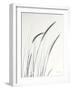 Field Grasses III-Debra Van Swearingen-Framed Photographic Print