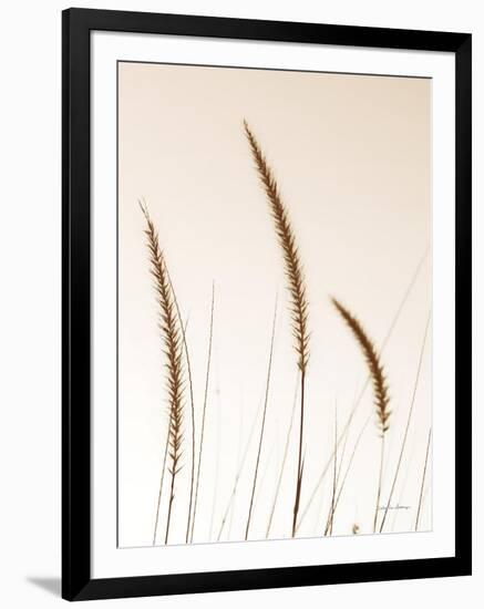 Field Grasses IV Sepia-Debra Van Swearingen-Framed Photographic Print