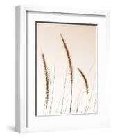 Field Grasses IV Sepia-Debra Van Swearingen-Framed Photographic Print