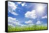 Field Green Grass Isolation on the Sky Backgrounds-Kalina Vova-Framed Stretched Canvas