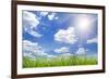 Field Green Grass Isolation on the Sky Backgrounds-Kalina Vova-Framed Photographic Print