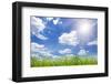 Field Green Grass Isolation on the Sky Backgrounds-Kalina Vova-Framed Photographic Print