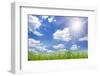 Field Green Grass Isolation on the Sky Backgrounds-Kalina Vova-Framed Photographic Print