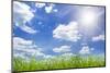 Field Green Grass Isolation on the Sky Backgrounds-Kalina Vova-Mounted Photographic Print
