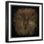 Field Hare-Tim Kahane-Framed Photographic Print