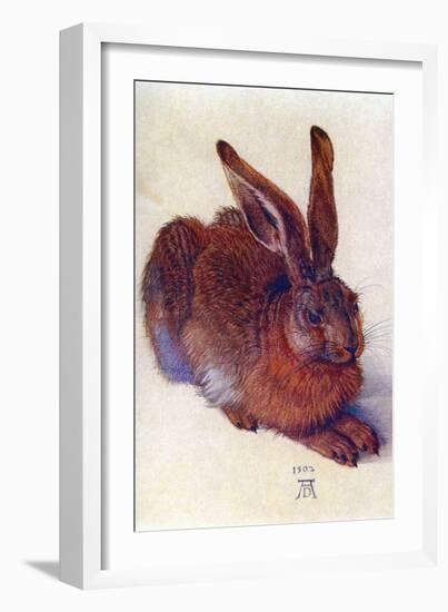 Field Hare-Albrecht Dürer-Framed Art Print