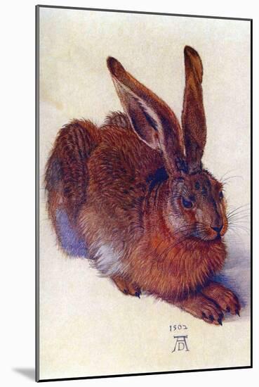 Field Hare-Albrecht Dürer-Mounted Art Print