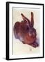 Field Hare-Albrecht Dürer-Framed Art Print