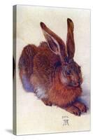 Field Hare-Albrecht Dürer-Stretched Canvas
